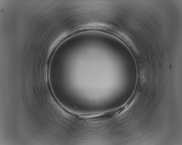 X0000067381180200603311203