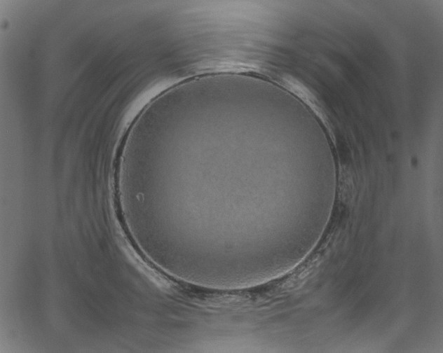 X0000067381187200603311203