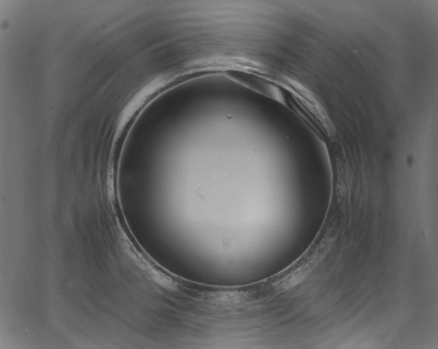 X0000067381188200603311203