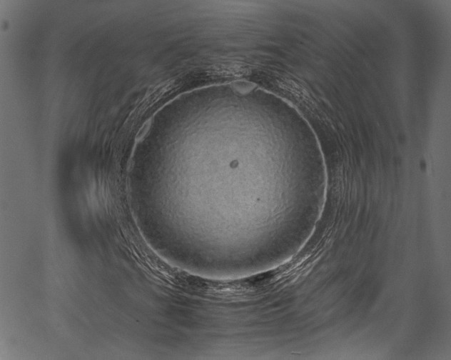 X0000067381201200603311202