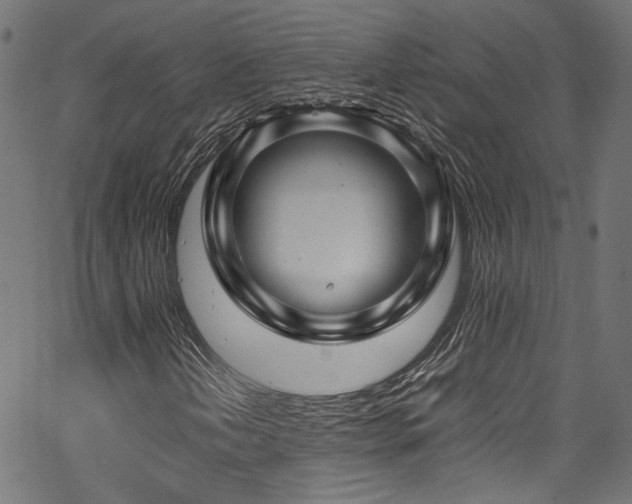 X0000067381202200603311202