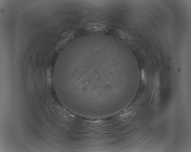 X0000067381203200603311202