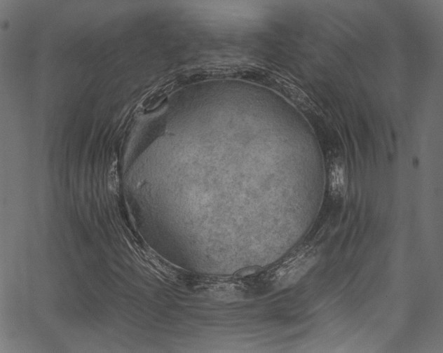 X0000067381204200603311202