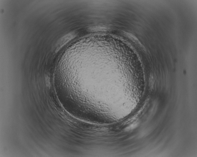 X0000067381209200603311202