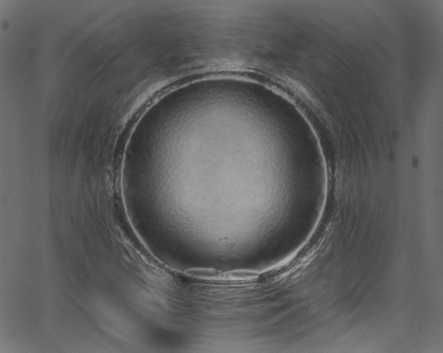 X0000067381212200603311202