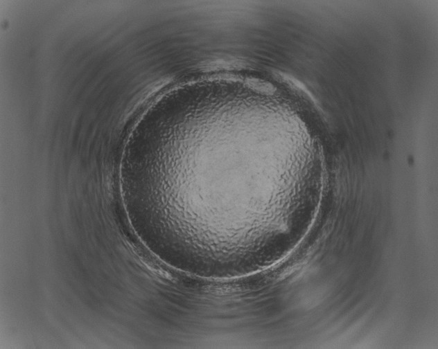X0000067381217200603311202