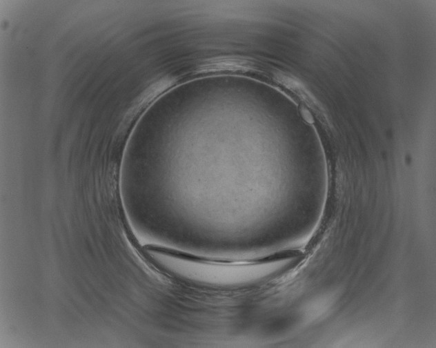 X0000067381233200603311202