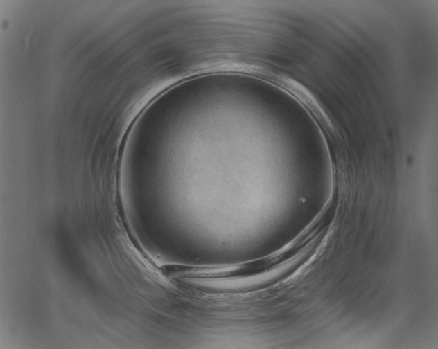 X0000067381244200603311202