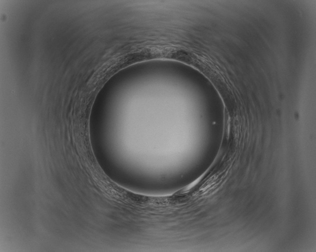 X0000067381249200603311202