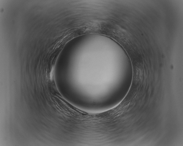 X0000067381250200603311202
