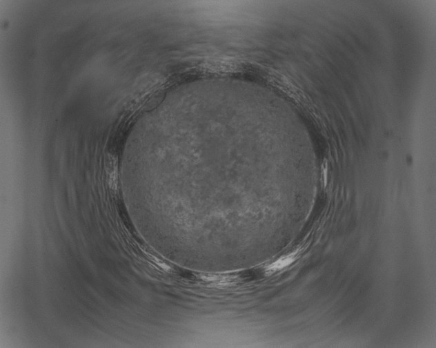 X0000067381251200603311202