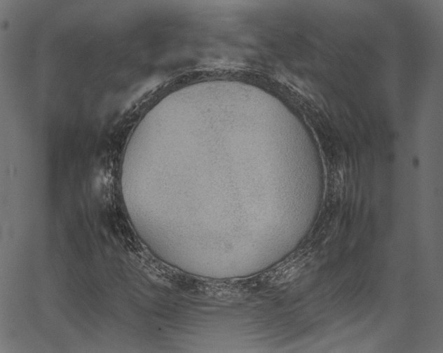 X0000067381254200603311202