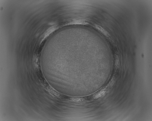 X0000067381258200603311202