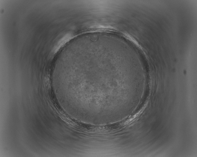 X0000067381259200603311202
