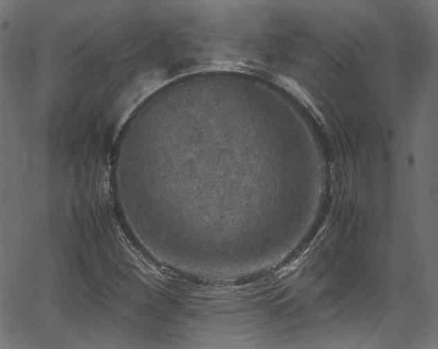 X0000067381260200603311202