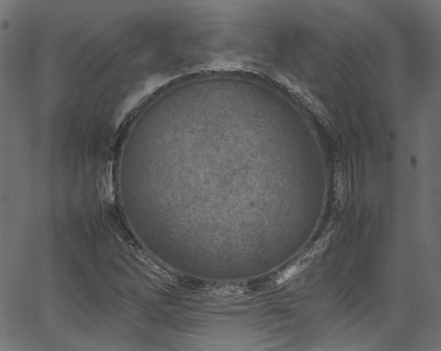 X0000067381262200603311201