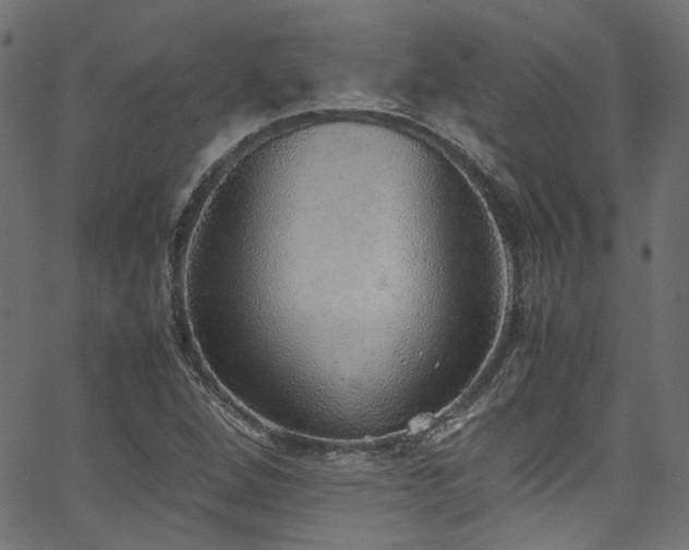 X0000067381264200603311201