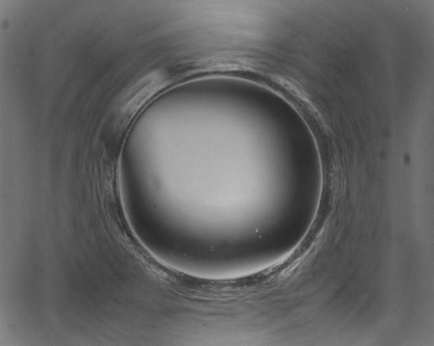 X0000067381273200603311201