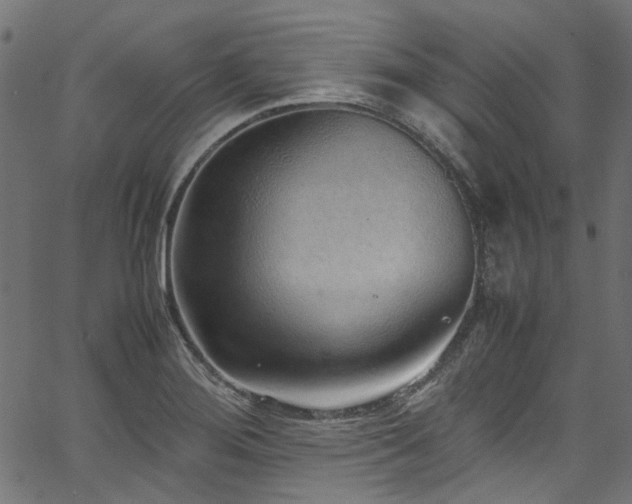 X0000067381276200603311201