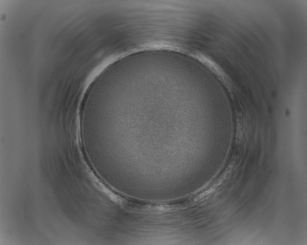 X0000067381286200603311201