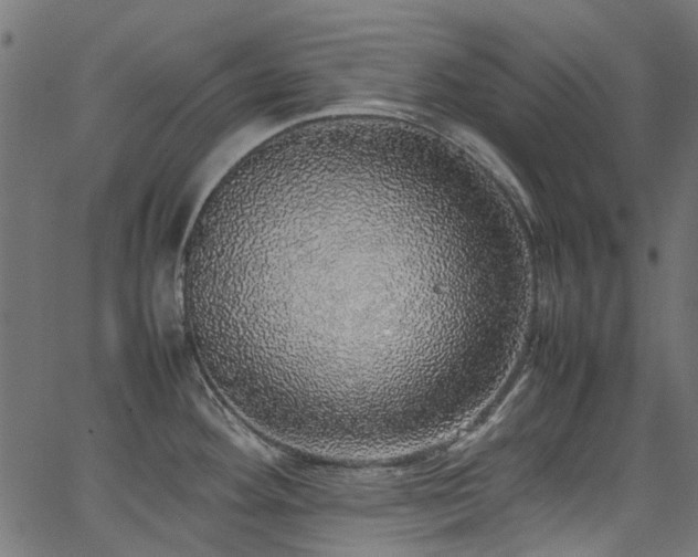 X0000067381292200603311201