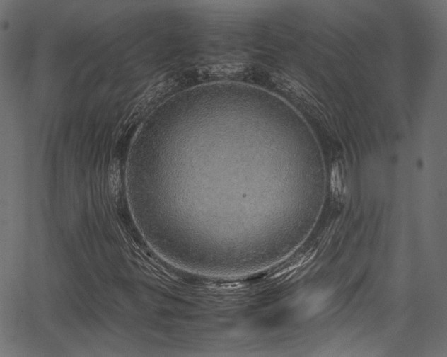 X0000067381299200603311200