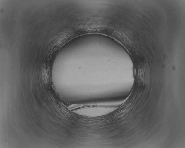 X0000067381300200603311200