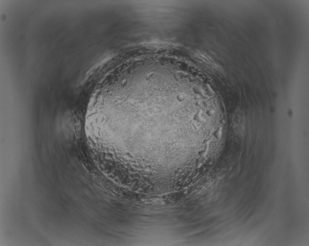 X0000067381302200603311200