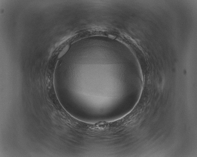 X0000067381303200603311200