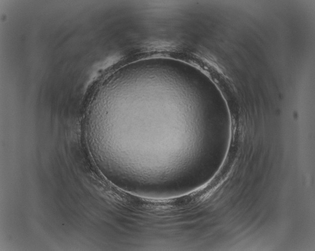 X0000067381309200603311200