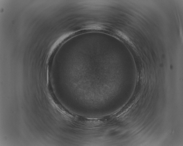 X0000067381323200603311201