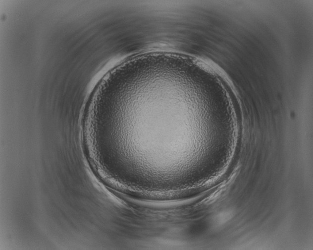 X0000067381341200603311201