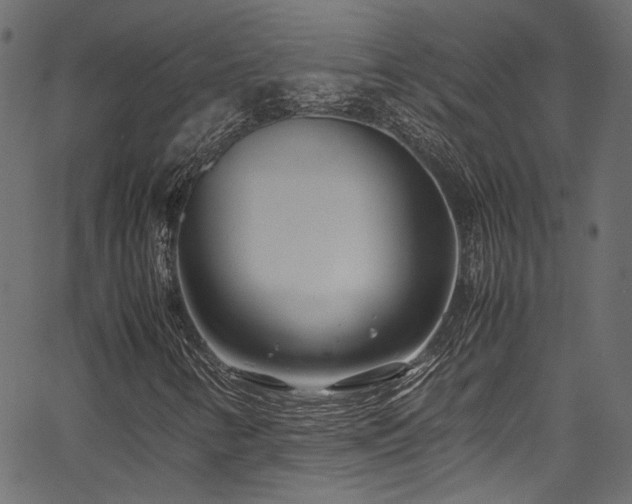 X0000067381346200603311200