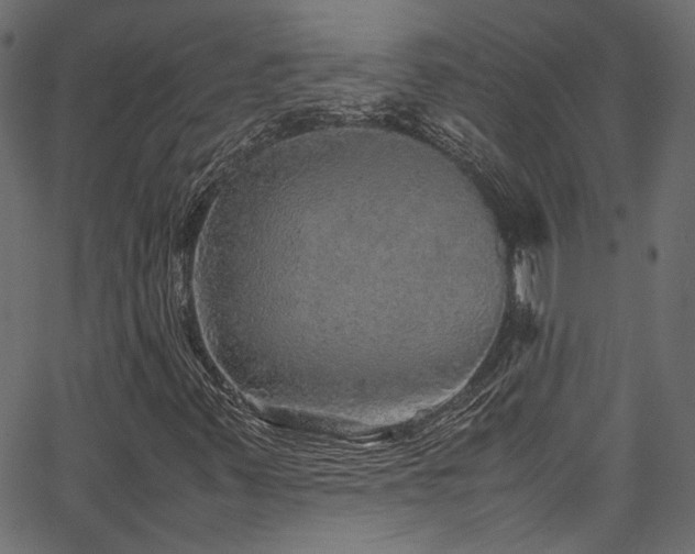 X0000067381347200603311200