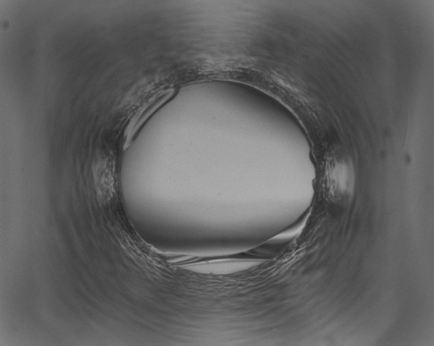 X0000067381348200603311200