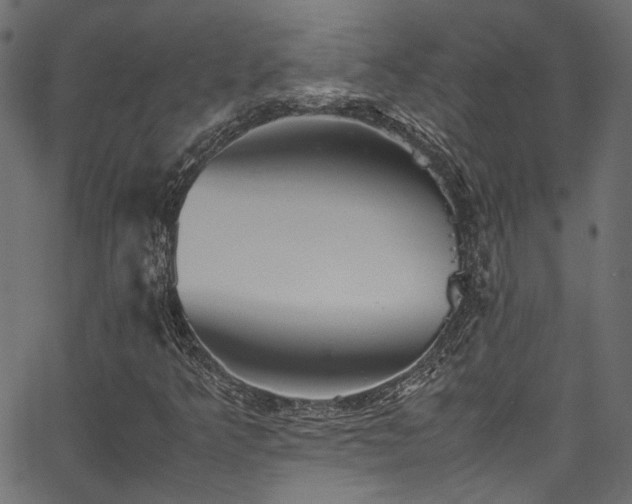 X0000067381349200603311200