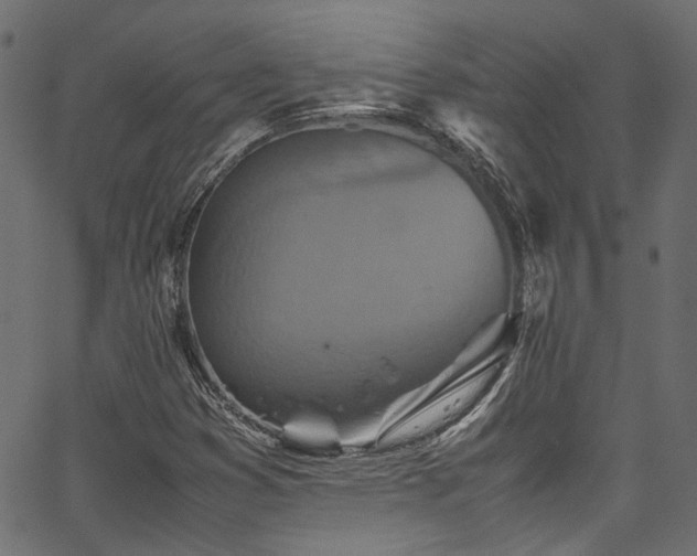X0000067381353200603311200