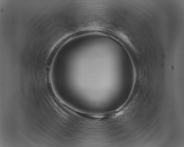 X0000067381356200603311200