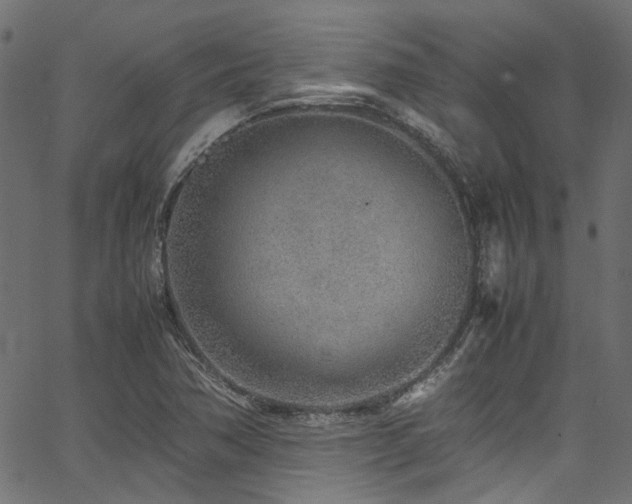 X0000067381362200603311200