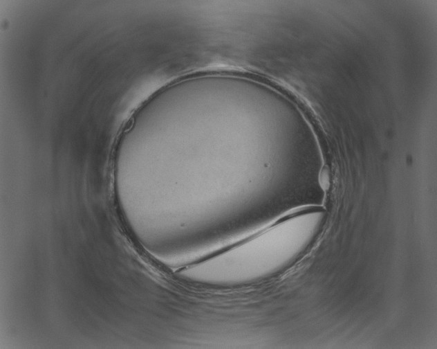 X0000067381367200603311200