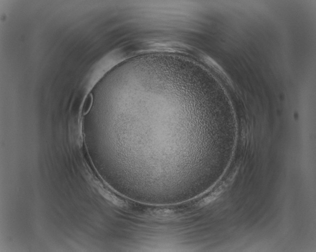 X0000067381370200603311200