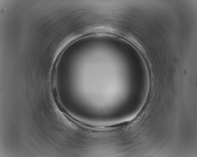 X0000067381392200603311159