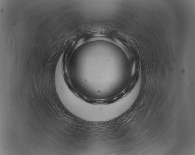 X0000067381394200603311159