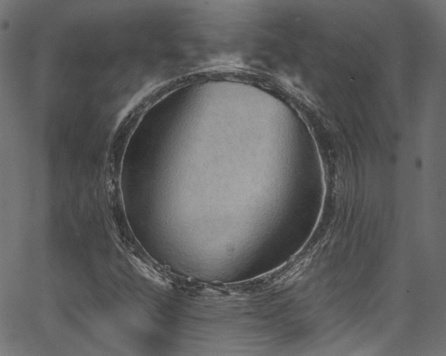 X0000067381400200603311159