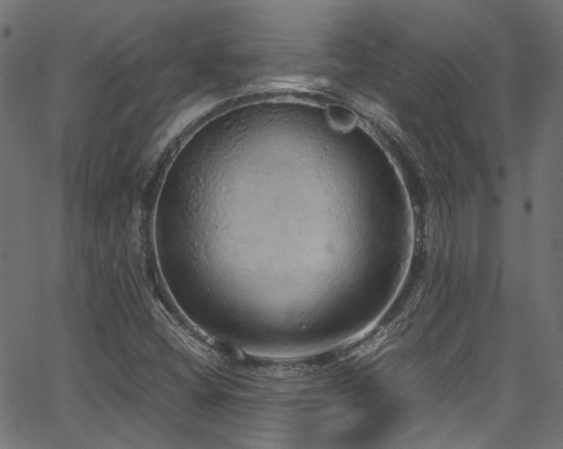 X0000067381404200603311159