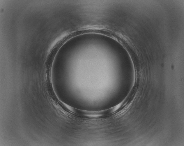 X0000067381406200603311159