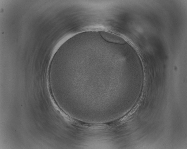 X0000067381440200603311159