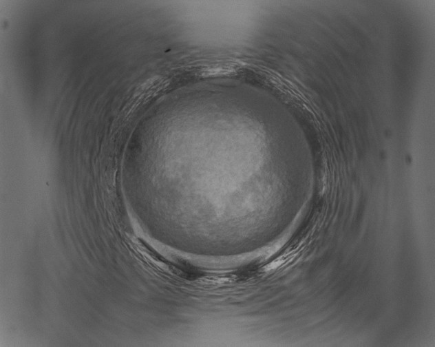 X0000067381441200603311159