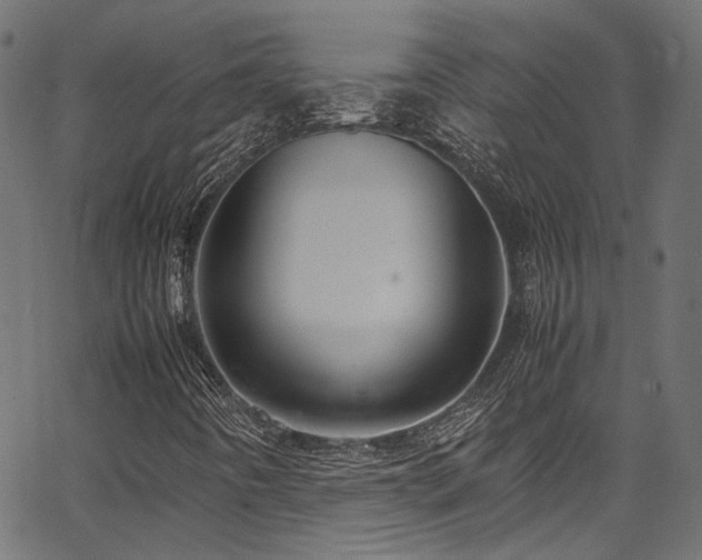 X0000067381442200603311159