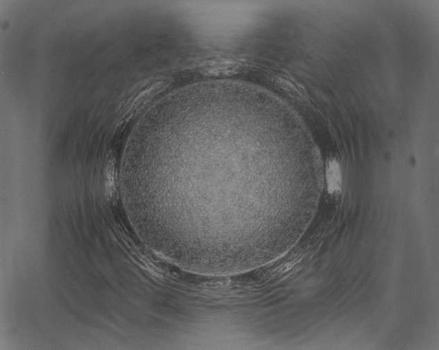 X0000067381444200603311158